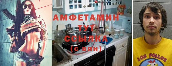 Альфа ПВП Аркадак