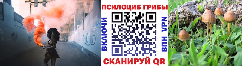 Галлюциногенные грибы MAGIC MUSHROOMS  Усть-Лабинск 